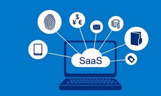 SaaS服務(wù) 中小企業(yè)信息化與現(xiàn)代化管理的強(qiáng)力引擎