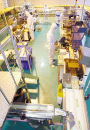 徐州民營(yíng)經(jīng)濟(jì)集群發(fā)展 以管理創(chuàng)新驅(qū)動(dòng)轉(zhuǎn)型升級(jí)